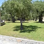 Olea * Akrotiri (Zakynthos)