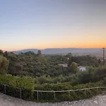 Olea * Akrotiri (Zakynthos)