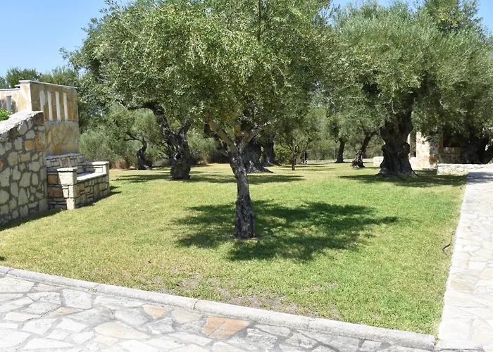 Olea * Akrotiri (Zakynthos)