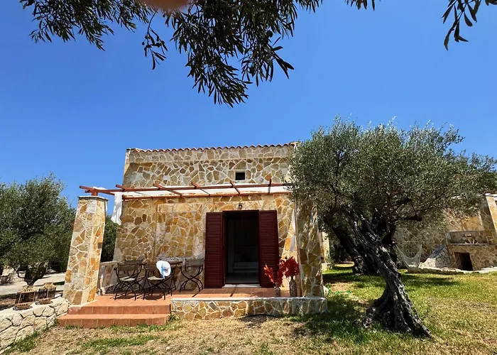 Olea * Akrotiri (Zakynthos)