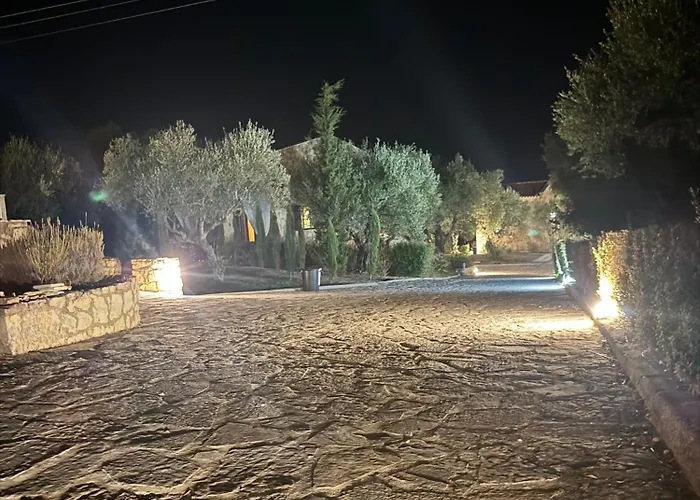 Olea Akrotiri (Zakynthos)