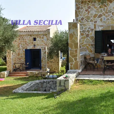 Olea * Akrotiri (Zakynthos)