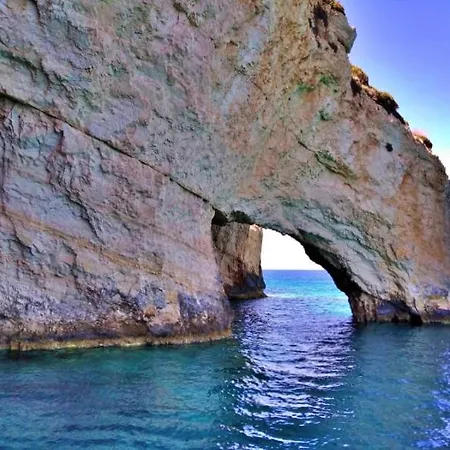 Olea Akrotiri (Zakynthos)