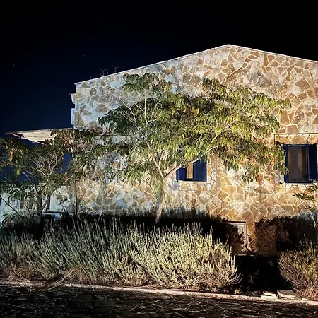 Olea * Akrotiri (Zakynthos)