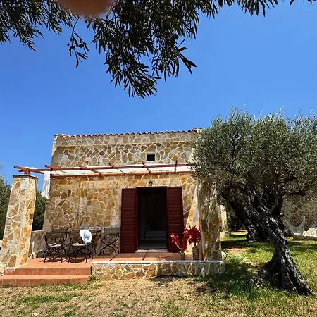 Olea * Akrotiri (Zakynthos)