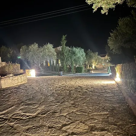 Olea Akrotiri (Zakynthos)
