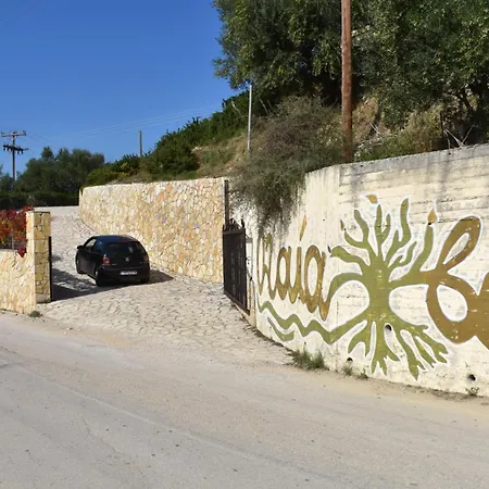 Olea