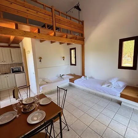 Olea * Akrotiri (Zakynthos)